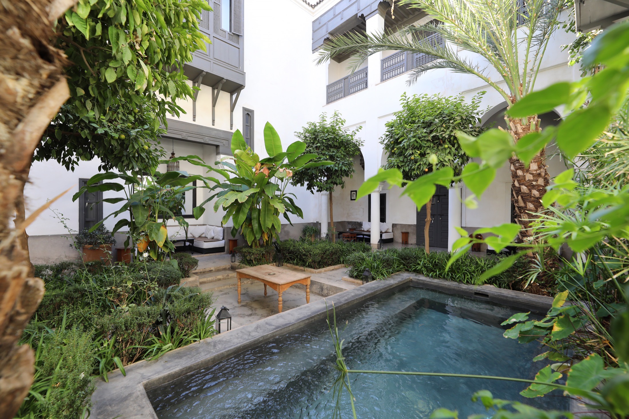 Le patio-jardin du Riad Zaouia 44 — la piscine au milieu des palmiers, bananiers et salons blancs