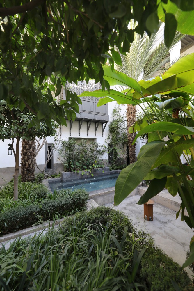 Le patio-jardin du Riad Zaouia 44, bassin et moucharabieh entre les palmiers